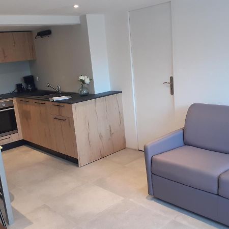 Logement Entier 4 Personnes Villefranche Sur Saone Dış mekan fotoğraf